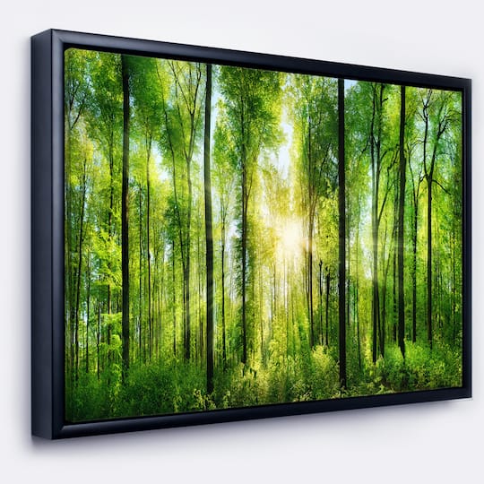 Designart - Forest with Rays of Sun Panorama